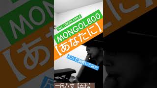 【#あなたに 】【#尺八】#mongol800 #モンパチ #mrsgreenapple #ミセス #和楽器 #和風 #cover #カバー #shakuhachi #よたさん #演奏してみた #笛