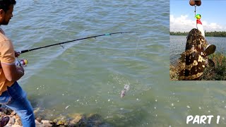 Catching GROUPERS Using Soft Lures #pondicherry Fishing 🎣களவாய் மீன்களை சாப்ட் லுர் போட்டு பிடிப்பது