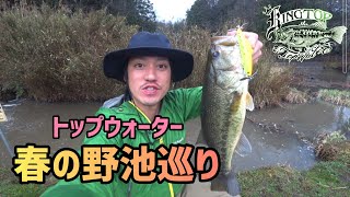 《175》トップウォーター春のオカッパリ野池巡り！！