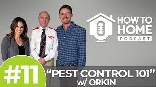 Pest Control 101: How to Protect Your Home Against Pests | How To Home Podcast