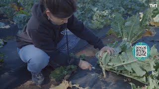 De la Huerta a Raíz: Agricultura sostenible para un futuro saludable