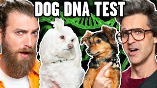 Link Is Shocked By Dog DNA Results