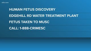Human fetus found at Sumter County water treatment plant