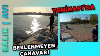 ÇİNEKOP SPİN AVI | YENİKAPI BALIK AVI RAPORU! | BEKLENMEYEN CANAVAR! | MAYIS 2023