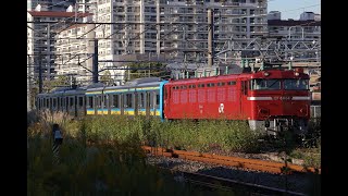 10/23 配9645レ　EF81-134牽引　E131系T-3編成新津出場配給　新鶴見