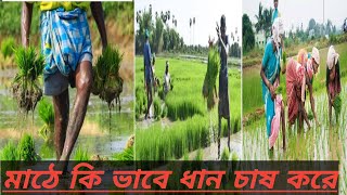 ভারতে কৃষিকাজ: ভারতীয় কৃষকের গল্প / Farming in India: Stories of Indian Farmers