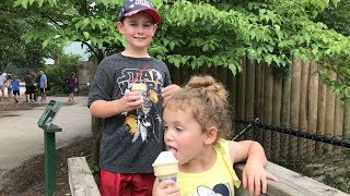 #HOT25 - Ice Cream Safari at Scovill Zoo