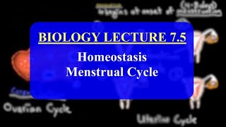 IMAT Biology Lesson 7.5 | Homeostasis | Menstrual Cycle