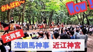 参道馬場を疾走する流鏑馬神事に大興奮 外国人観光客も楽しむ shiga omi shrine