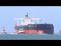 Bulk Carrier Ship - Wugang Innovation