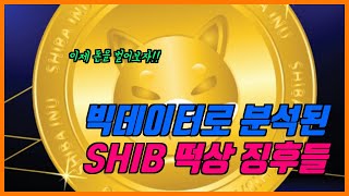 도지코인의 아류 Shiba coin의 떡상 징후를 빅데이터를 통하여 분석되었다.!!!!!! 징후를 알면 돈이 보인다.!!!!!!!  모두 부자되는겨???????