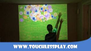 Flower Field - Dunn Interactive Surface Kit