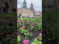 Wawel castle, Kraków, Poland 🇵🇱 Europe. Watch full video on channel. Feel free to subscribe 🔔🤗❤️