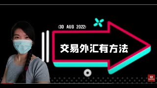 交易外汇有方法｜forex课程｜eurusd 短线交易策略 （30 AUG 2022）