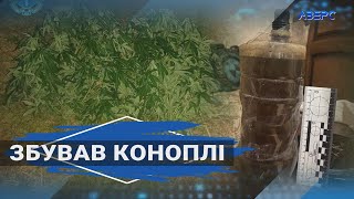 Жителя Цумані викрили у неодноразовому збуті канабісу