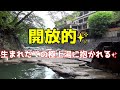 混浴露天風呂の未来は？【岩の湯 福渡温泉 塩原温泉郷】真冬に塩原温泉郷へ車中泊で湯めぐりに行こう④　足下自噴の貴重映像　shiobara onsen in the middle of winter