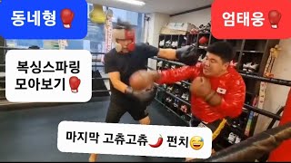 상남자 엄태웅 vs 동네사는 동네형 (모아보기) 복싱 스파링🥊파이트