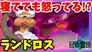 【ポケモンソードシールド】伝説ポケモンランドロスは豊穣の神！ピオニー図鑑がまたヤバイ！冠の雪原【エキスパンションパス】