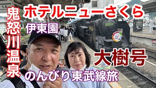 鬼怒川温泉 伊東園ホテルニューさくら のんびり東武線旅 江川CAMP番外編