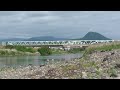 g0154　大分川　明磧橋　セイタカシギの群れ　oita river　akegawara bridge　a flock of black winged stilts