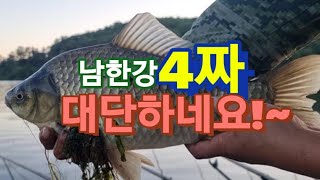 남한강에서 만난 4짜 대물 손맛 끝내줍니다~