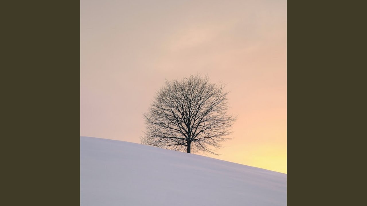 Wind Forest Youtube Music