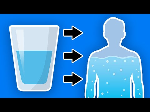 How long does it take to see effects of drinking more water?