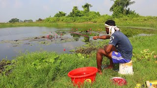 Fishing Video🐠 || The village boy catching a giant fish using the right food || Amazing hook fishing