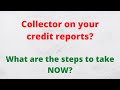 What are your options when you find a collector on your credit reports?