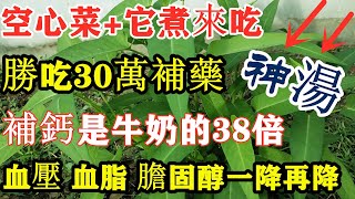 空心菜+它煮來吃，血壓、血脂、膽固醇竟一降再降，比吃30萬補藥還要好，還能潤腸通便、強壯骨骼！退休老人後悔看晚了