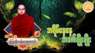 အရိပ်နေနေ အခက်ချိုးချိုး (ကြာနီကန်ဆရာတော်)