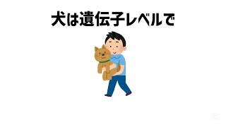 【雑学】意外と知らない犬に関する雑学🐶