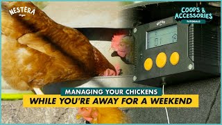 Managing your chickens while you're away for a weekend - Features of the Automatic Door