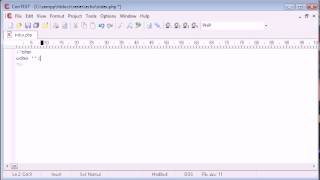 Beginner PHP Tutorial 9 echo flv1