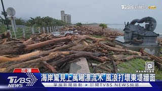 海岸驚見上萬噸漂流木 風浪打壞東堤牆面｜TVBS新聞 @TVBSNEWS02