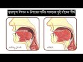 Tajweed Series Bangla 16 - Makhraj Zwa Zal Tha