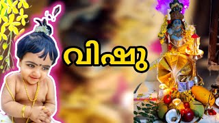 vishu |✨ നമ്മളുടെ വിഷുദിനാഘോഷം |✨❤️ #vishu #vlog #dayinmylife #festival