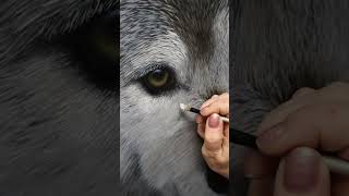 I Painted a Wolf in Oils! #oilart #animal #oilpainting #wolf #wildlifeartists #realismart #art