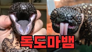 반도체공장 2층에 깔아둔 사장님 대박났네요!!! 공업단지 한복판에서 이런것들을 준비했다니....보시면 놀랍니다