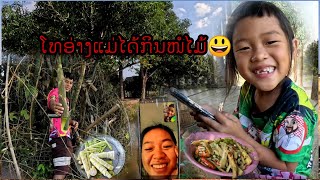 ກິນແກງໜໍ່ໄມ້ຕອນທ່ຽງ.ຢູ່ນາ..!!.กินแกงหน่อไม้ตอนเที่ยงอยู่เถียงนา..[ บ่าวฮ้อย ].10 พฤศจิกายน ค.ศ. 2024