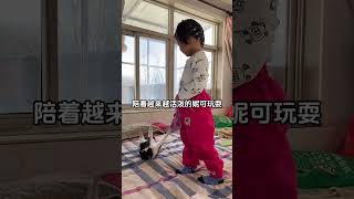 本来也是想养一只猫的，结果捡猫更快一点我和流浪猫的故事 萌宠出道计划