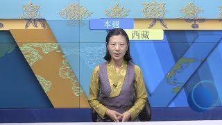 《本週西藏》第319期  2022年12月16日 Tibet This Week: Chinese