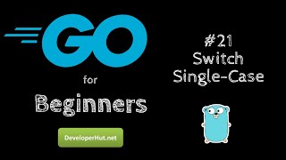#21 - Switch Single Case