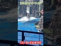 【usj】ウォーターワールド スモーカーズの水かけ shorts