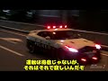 【総集編】霊夢巡査部長の警察24時 21～30話【gt7】