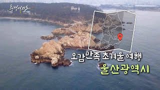 [풍경여지도] 오감만족 초겨울 여행 울산광역시 / 연합뉴스TV (YonhapnewsTV)