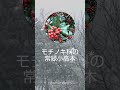 今日のお花 　 クリスマスホーリー　 モチノキ科　 花言葉　 将来の見通し　 12月　 flower　 seeyoutomorrowmorning