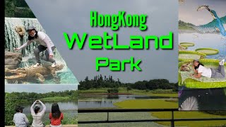 HongKong WetLand Park||How to get there