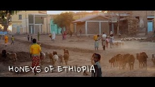 Honeys of Ethiopia