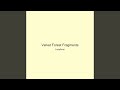 Velvet Forest Fragments